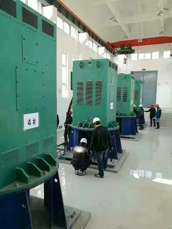 天元某污水处理厂使用我厂的立式高压电机安装现场一年质保